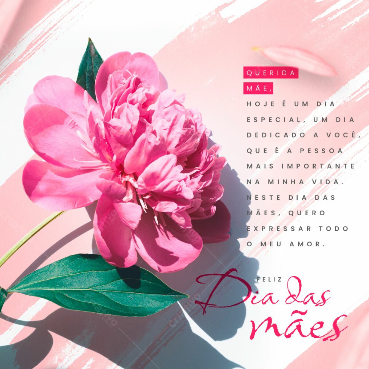 Cartão Dia das Mães com Peônia Rosa PSD Editável