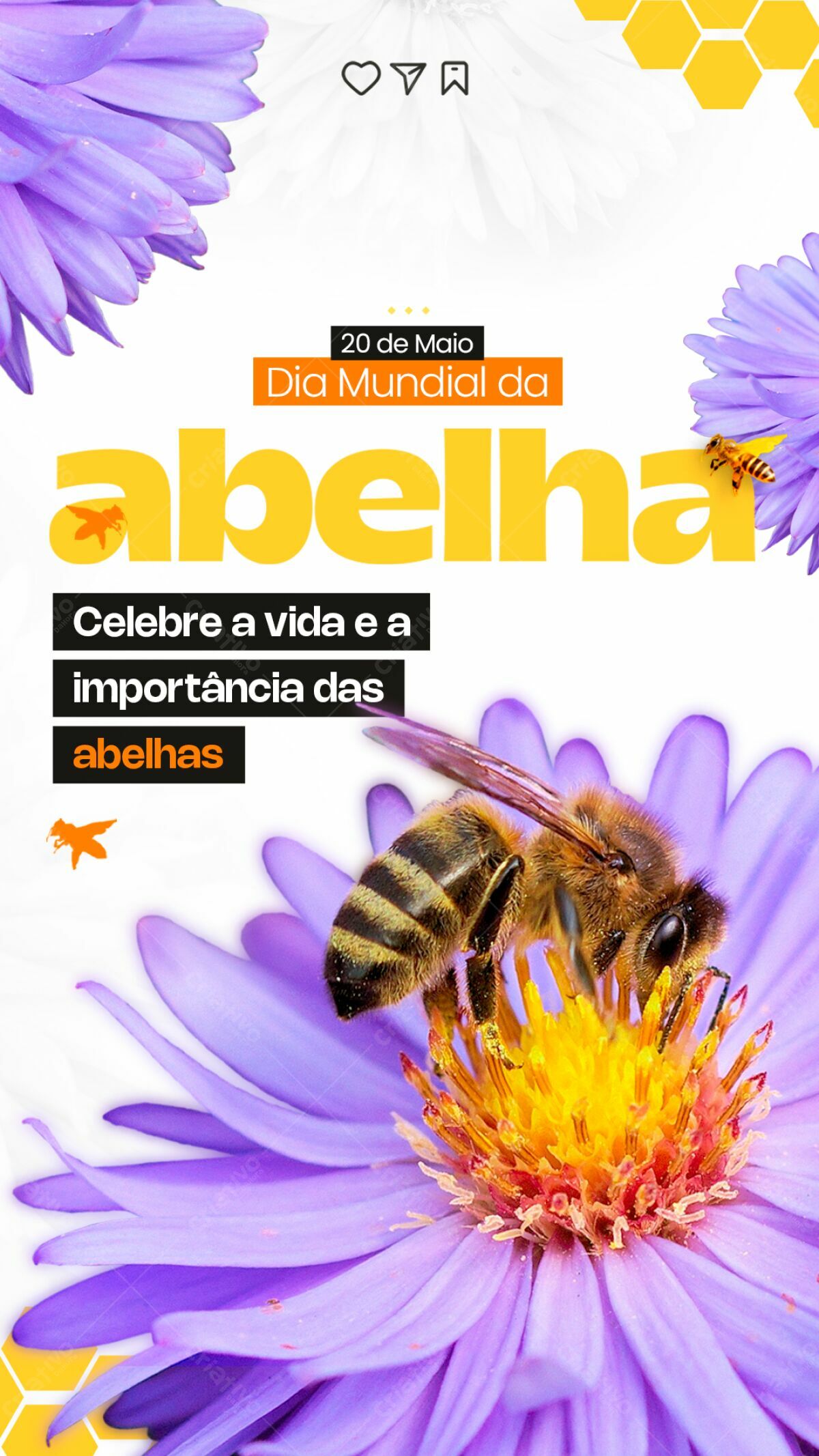 Flyer Dia Mundial da Abelha PSD Editável