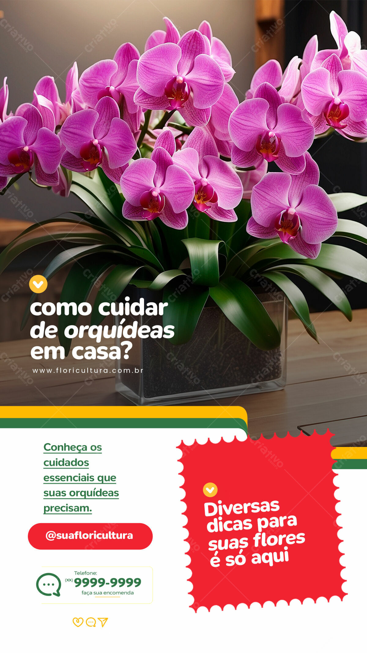 Flyer para Cuidados com Orquídeas PSD Editável