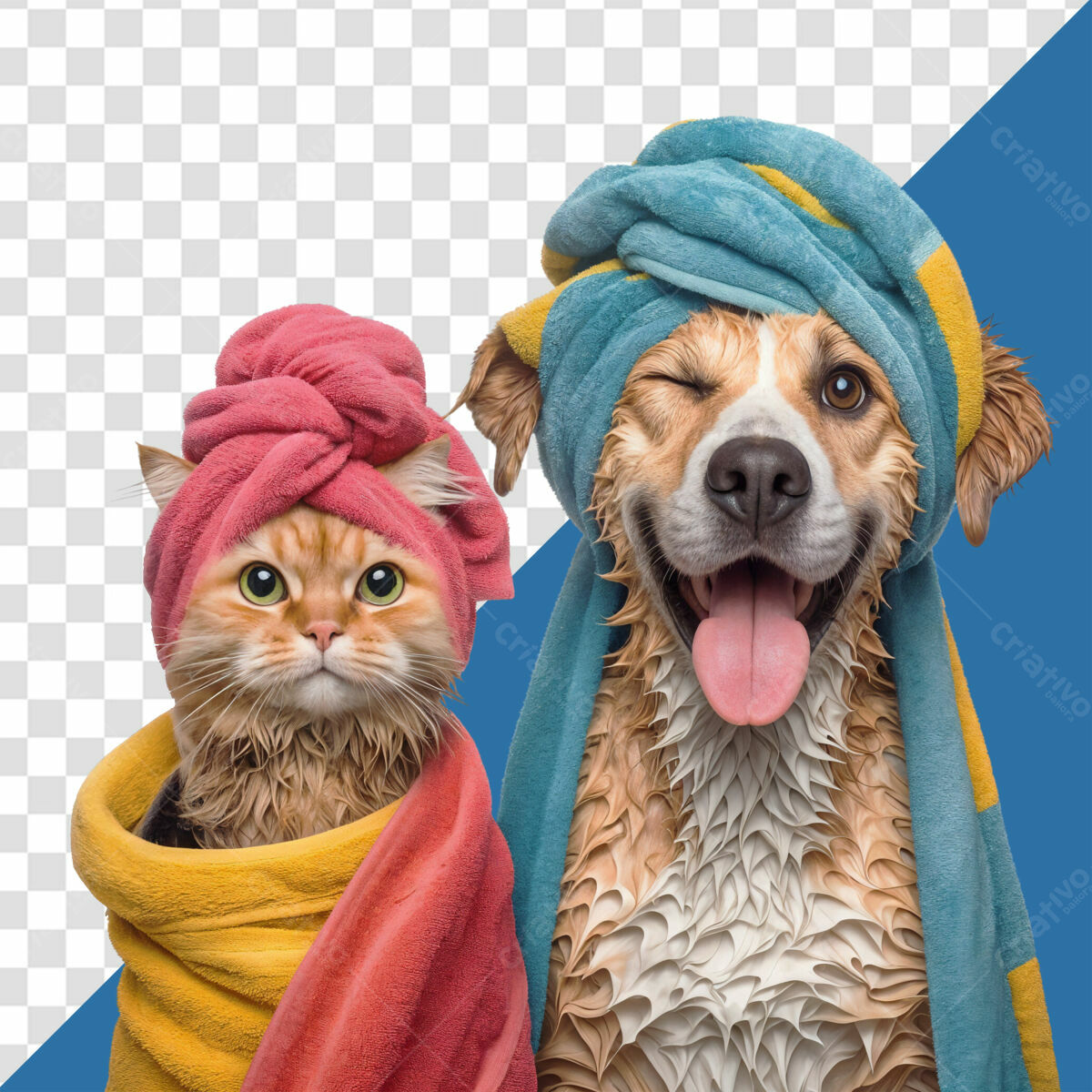 PSD para Pet Shop: Gato e Cachorro Molhados PSD Editável