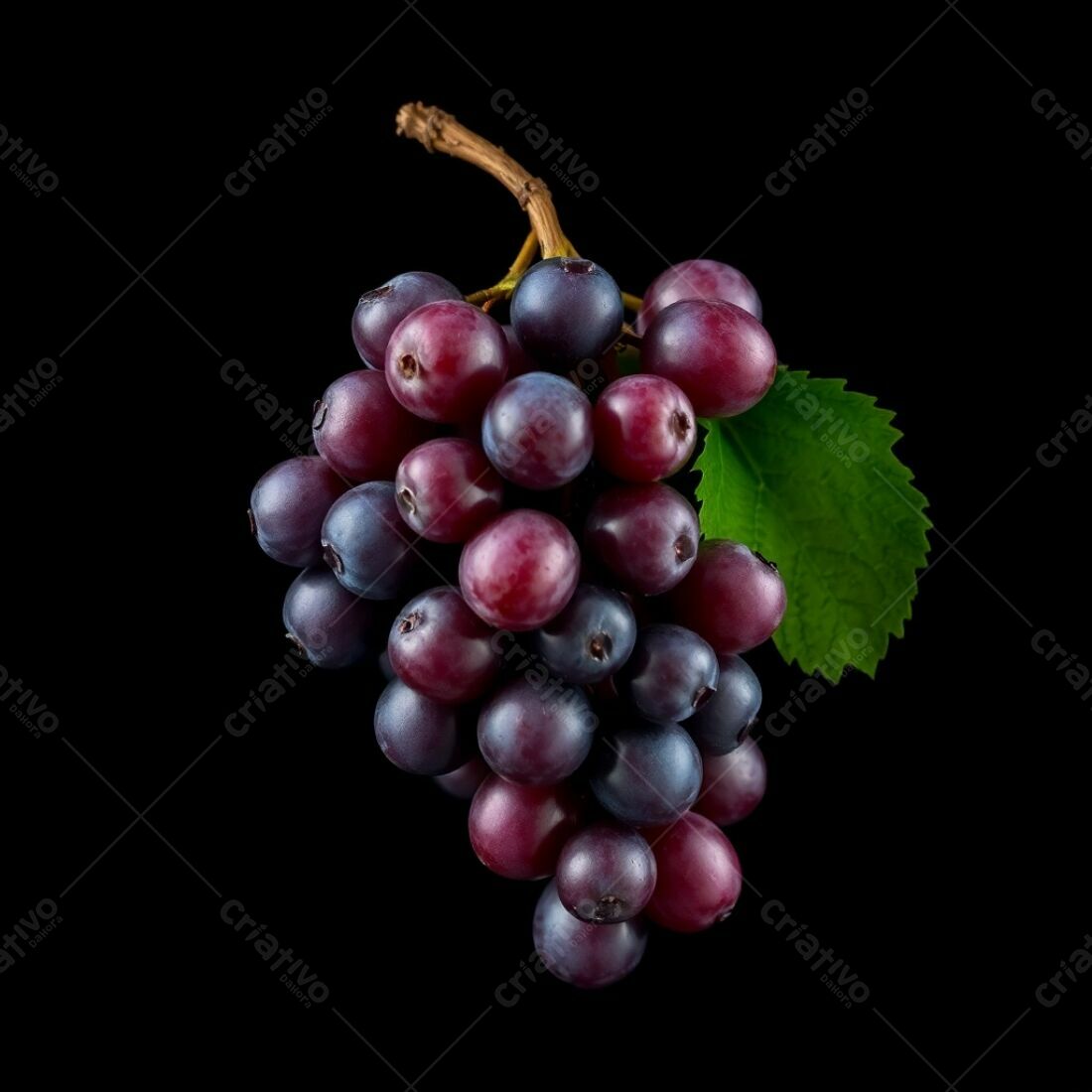 Uvas roxas e vinho em cacho sobre fundo preto