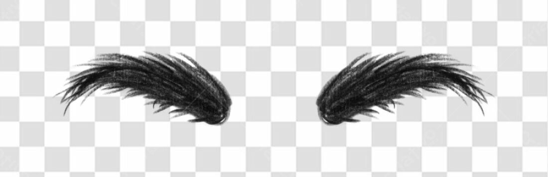 PNG Sobrancelhas estilo pena pretas com fundo transparente