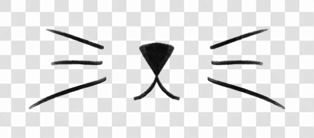 Logo PNG com fundo transparente Gatinho Minimalista