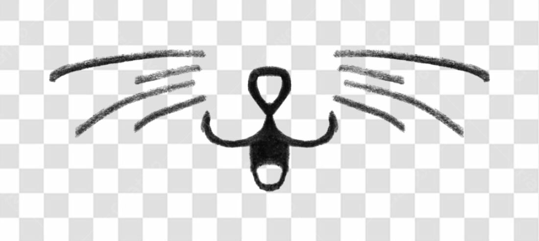 PNG Ilustração focinho de gato estilo lápis PNG com fundo transparente