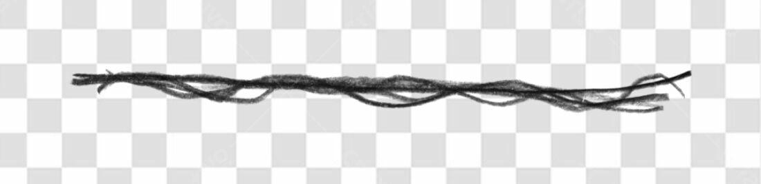 Banner abstrato com textura de galhos PNG com fundo transparente