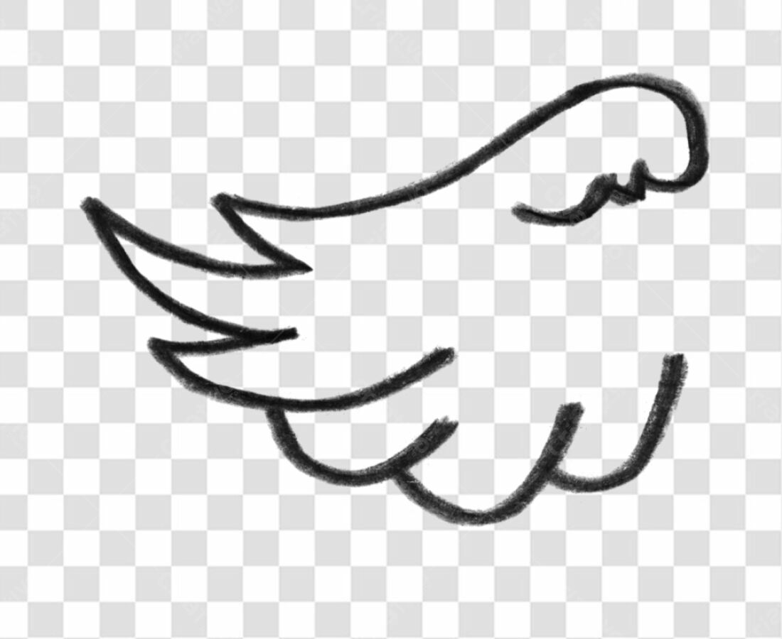 PNG Asa de Anjo para Design Gráfico com fundo transparente