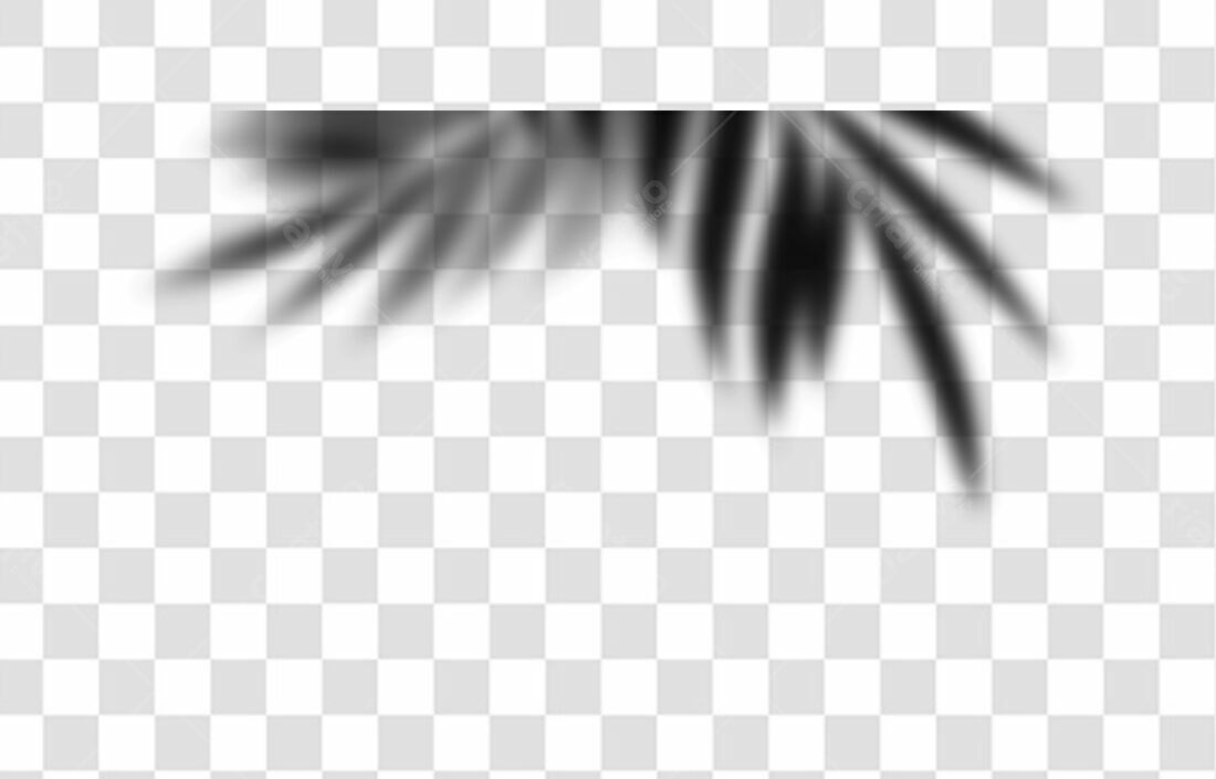 PNG Banner Tropical Leaf Shadow with Transparent Background