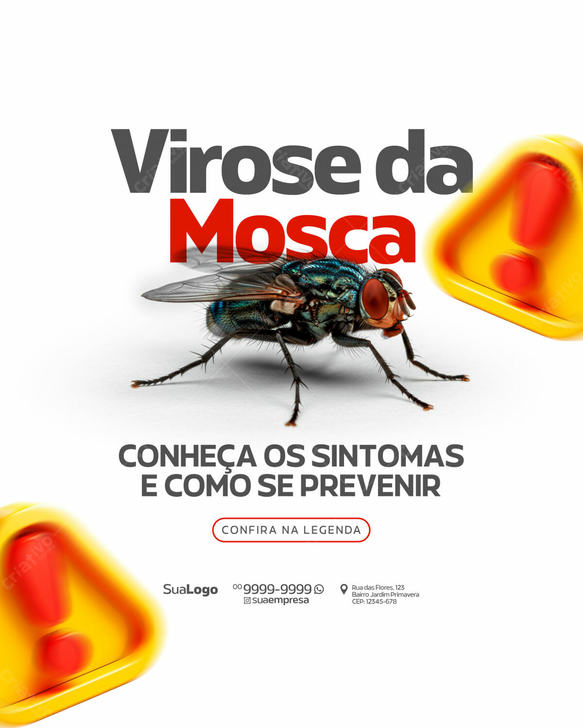 Flyer de Prevenção à Virose da Mosca PSD Editável